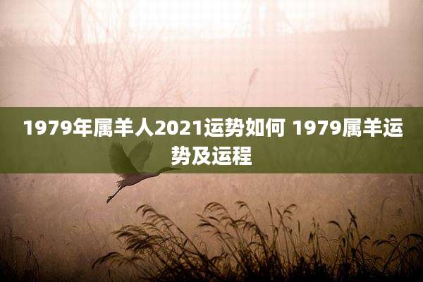 1979年属羊人2021运势如何 1979属羊运势及运程