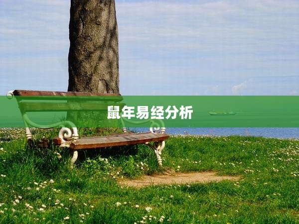 鼠年易经分析