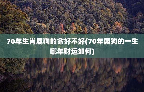 70年生肖属狗的命好不好(70年属狗的一生哪年财运如何)