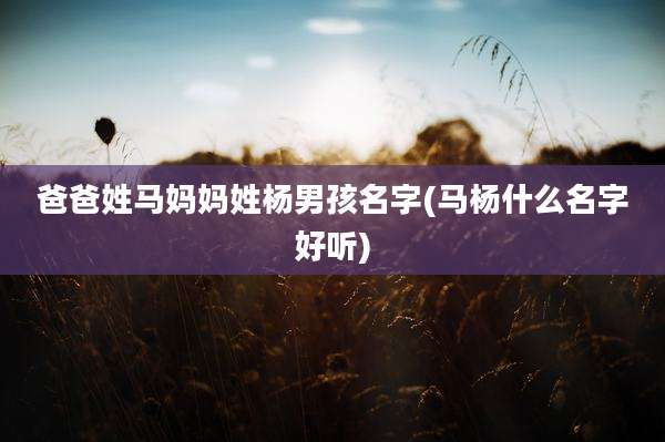 爸爸姓马妈妈姓杨男孩名字(马杨什么名字好听)