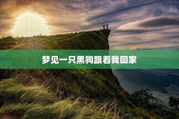梦见一只黑狗跟着我回家