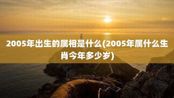 2005年出生的属相是什么(2005年属什么生肖今年多少岁)