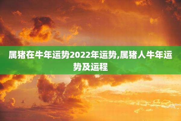 属猪在牛年运势2022年运势,属猪人牛年运势及运程
