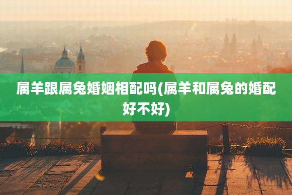 属羊跟属兔婚姻相配吗(属羊和属兔的婚配好不好)