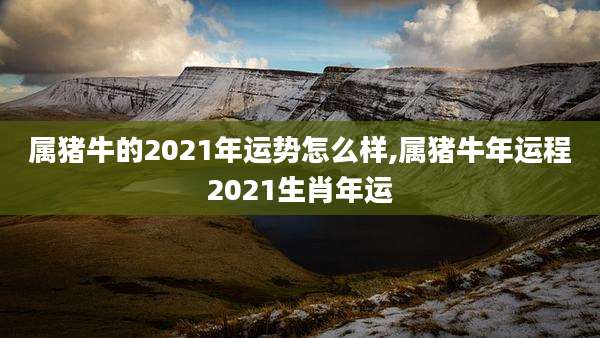 属猪牛的2021年运势怎么样,属猪牛年运程2021生肖年运