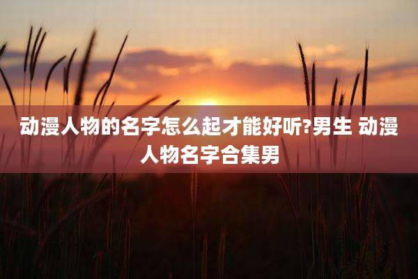 动漫人物的名字怎么起才能好听?男生 动漫人物名字合集男