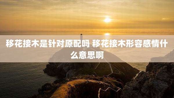 移花接木是针对原配吗 移花接木形容感情什么意思啊