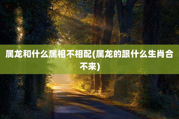 属龙和什么属相不相配(属龙的跟什么生肖合不来)