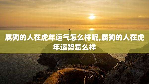 属狗的人在虎年运气怎么样呢,属狗的人在虎年运势怎么样