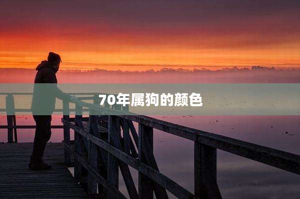 70年属狗的颜色