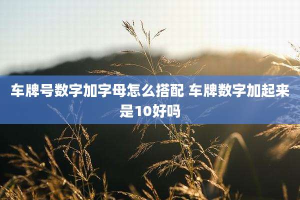 车牌号数字加字母怎么搭配 车牌数字加起来是10好吗