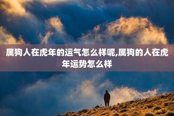 属狗人在虎年的运气怎么样呢,属狗的人在虎年运势怎么样