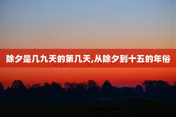 除夕是几九天的第几天,从除夕到十五的年俗