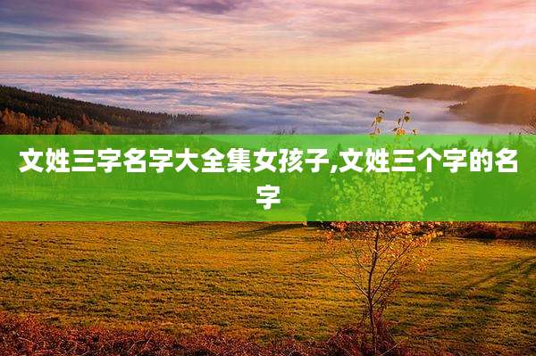 文姓三字名字大全集女孩子,文姓三个字的名字