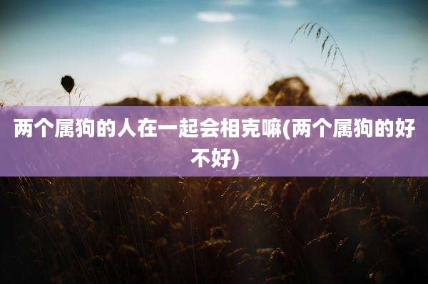 两个属狗的人在一起会相克嘛(两个属狗的好不好)
