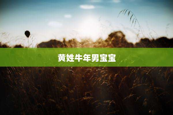 黄姓牛年男宝宝