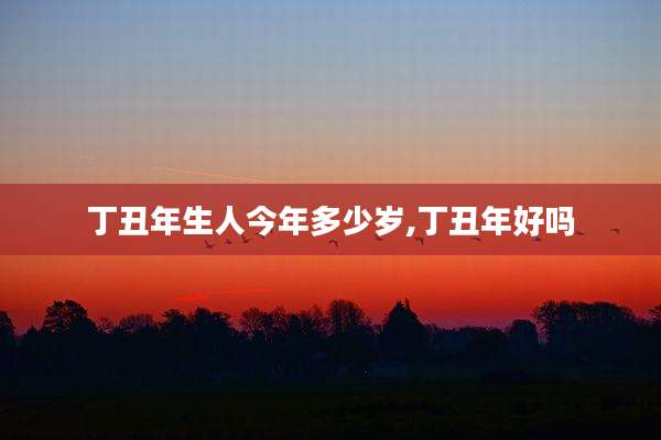 丁丑年生人今年多少岁,丁丑年好吗