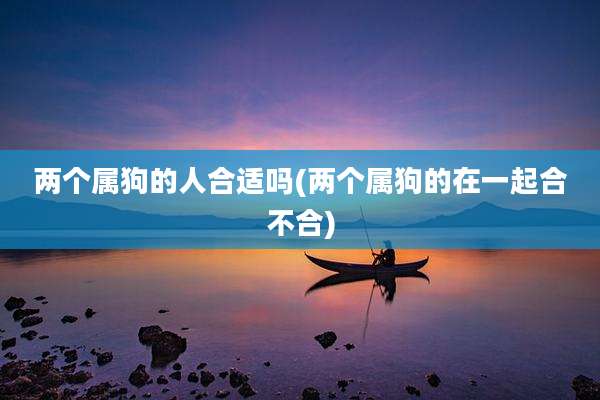 两个属狗的人合适吗(两个属狗的在一起合不合)