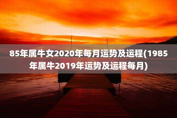 85年属牛女2020年每月运势及运程(1985年属牛2019年运势及运程每月)