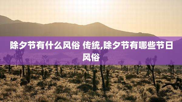 除夕节有什么风俗 传统,除夕节有哪些节日风俗