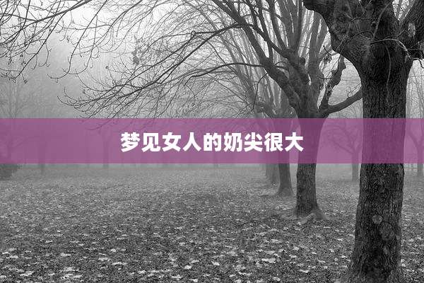 梦见女人的奶尖很大