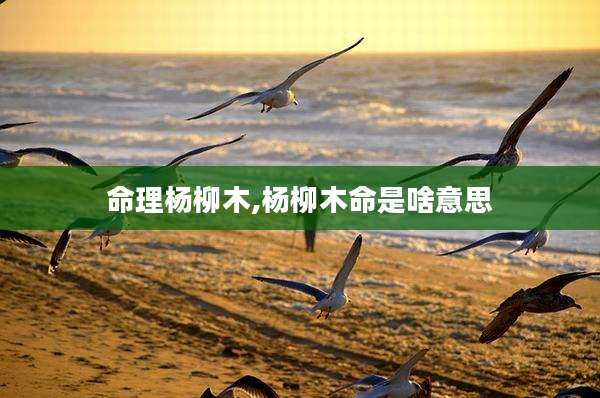 命理杨柳木,杨柳木命是啥意思