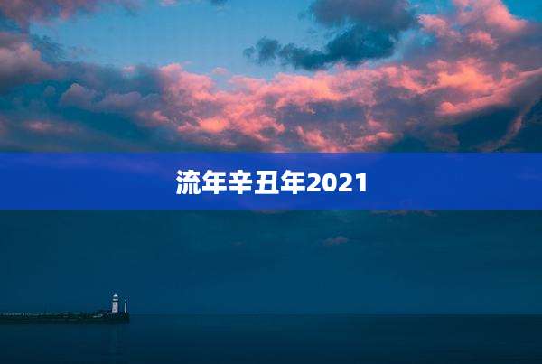 流年辛丑年2021