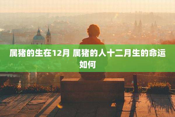 属猪的生在12月 属猪的人十二月生的命运如何