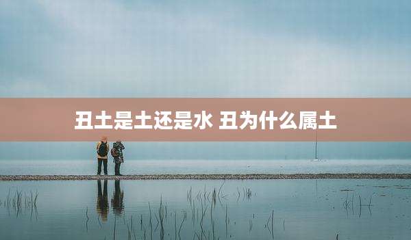 丑土是土还是水 丑为什么属土