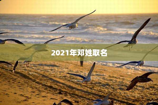 2021年邓姓取名