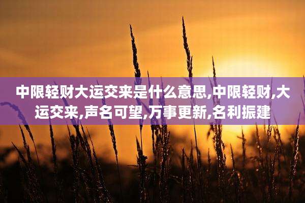 中限轻财大运交来是什么意思,中限轻财,大运交来,声名可望,万事更新,名利振建