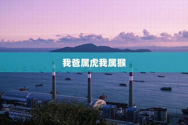 我爸属虎我属猴
