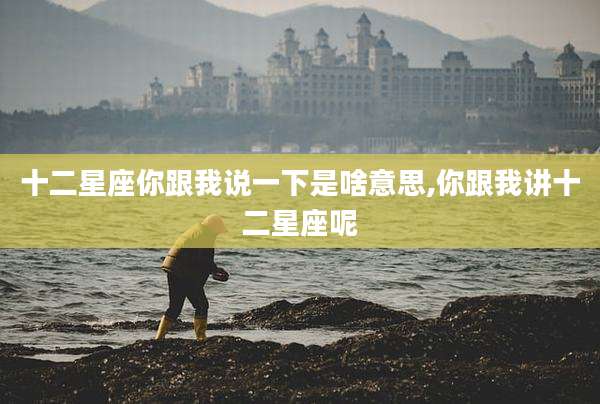 十二星座你跟我说一下是啥意思,你跟我讲十二星座呢