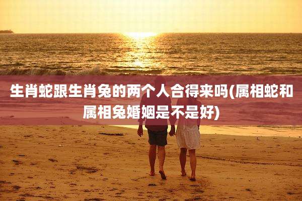 生肖蛇跟生肖兔的两个人合得来吗(属相蛇和属相兔婚姻是不是好)