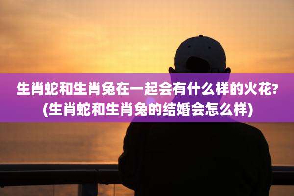 生肖蛇和生肖兔在一起会有什么样的火花?(生肖蛇和生肖兔的结婚会怎么样)