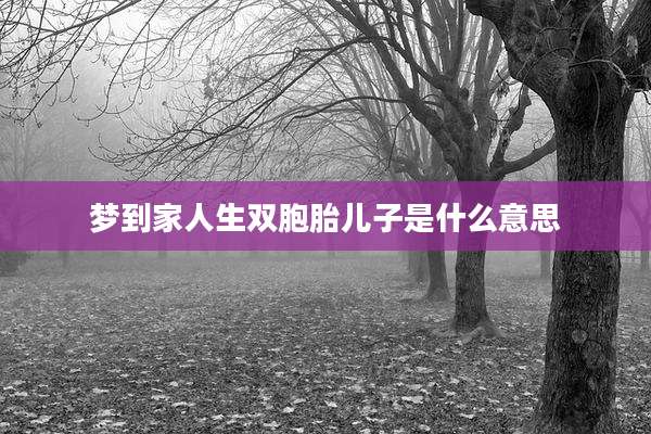 梦到家人生双胞胎儿子是什么意思
