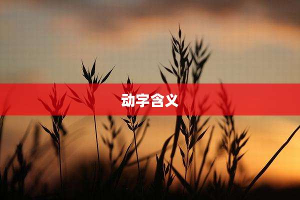 动字含义