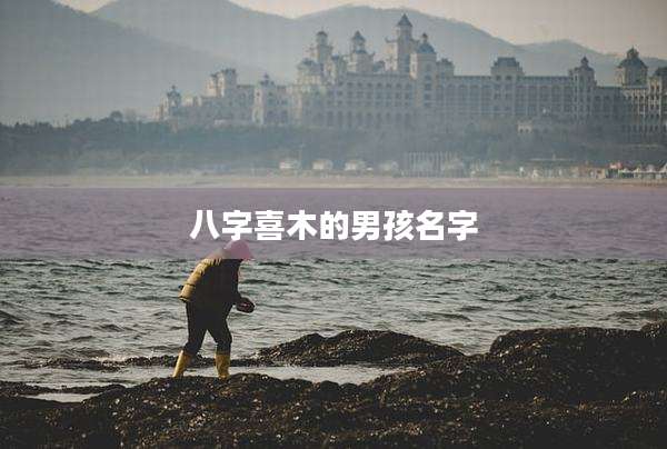 八字喜木的男孩名字
