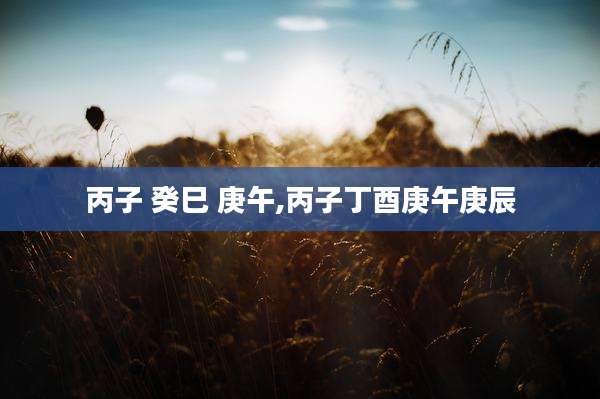 丙子 癸巳 庚午,丙子丁酉庚午庚辰
