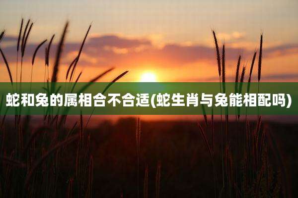 蛇和兔的属相合不合适(蛇生肖与兔能相配吗)