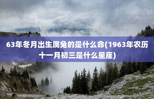 63年冬月出生属兔的是什么命(1963年农历十一月初三是什么星座)