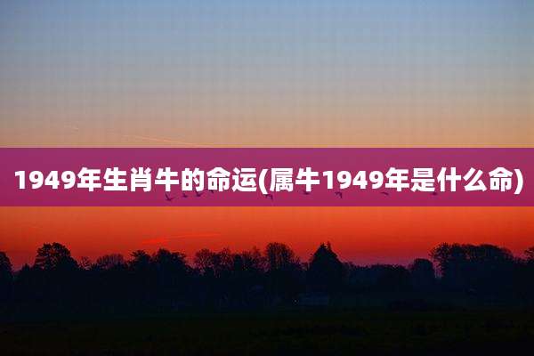1949年生肖牛的命运(属牛1949年是什么命)