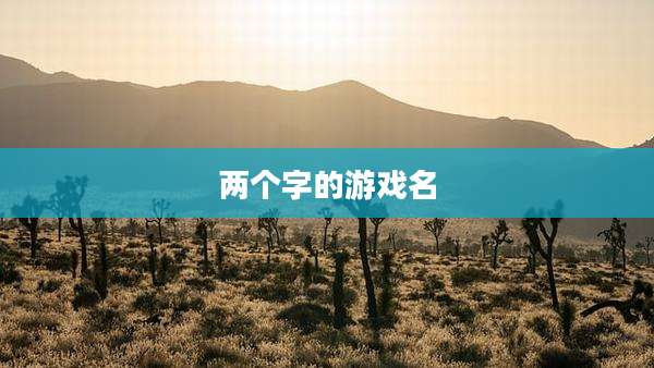 两个字的游戏名