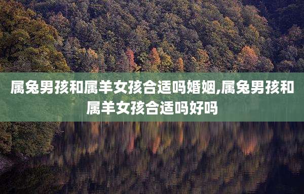 属兔男孩和属羊女孩合适吗婚姻,属兔男孩和属羊女孩合适吗好吗
