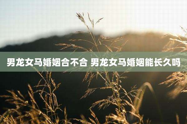 男龙女马婚姻合不合 男龙女马婚姻能长久吗