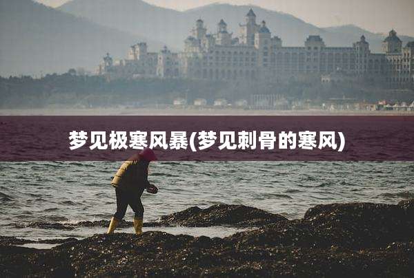 梦见极寒风暴(梦见刺骨的寒风)