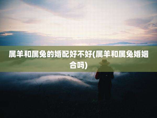 属羊和属兔的婚配好不好(属羊和属兔婚姻合吗)