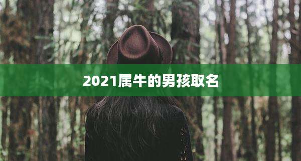 2021属牛的男孩取名