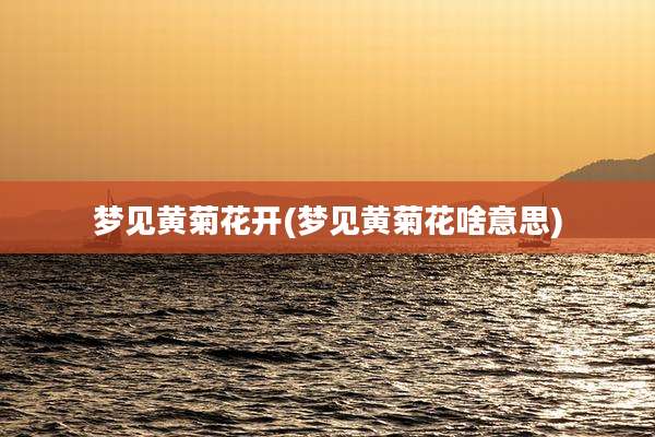梦见黄菊花开(梦见黄菊花啥意思)
