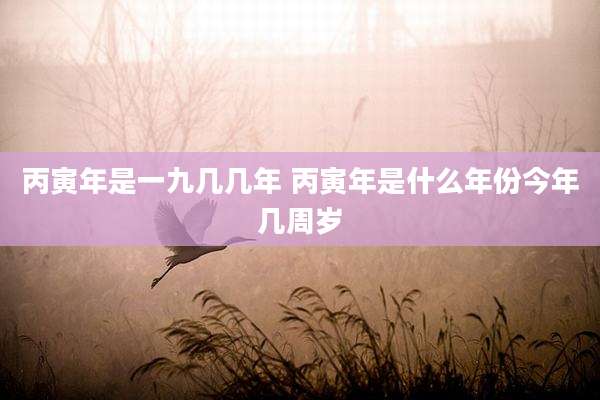 丙寅年是一九几几年 丙寅年是什么年份今年几周岁